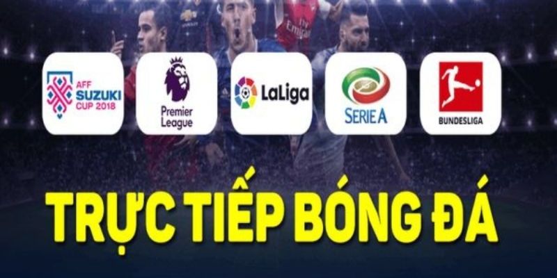 Đại lý Socolive lưu ý
